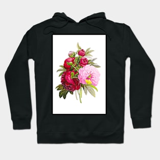 Peonies Art Floral Print Red Peonies Poster Blush Pink Peony Art Hoodie